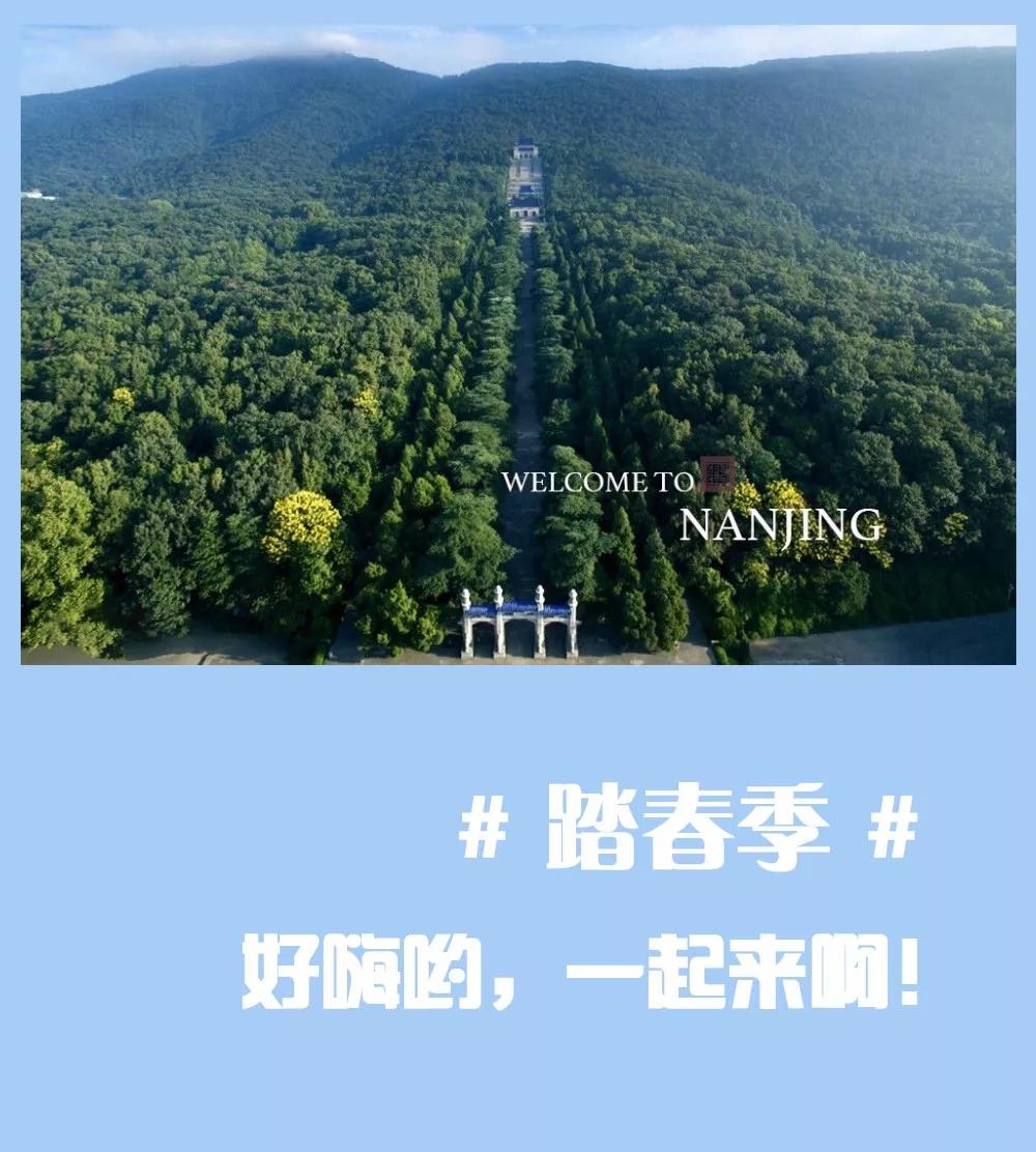 安排上了，南京新華邀你共赴免費(fèi)體驗(yàn)營(yíng)